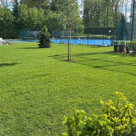 Appartamenti E B&B Casa Ester Базельга-ди-Пине Экстерьер фото